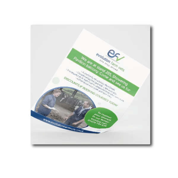 leaflet 3 A bespoke designed leaflet for Farm Vets