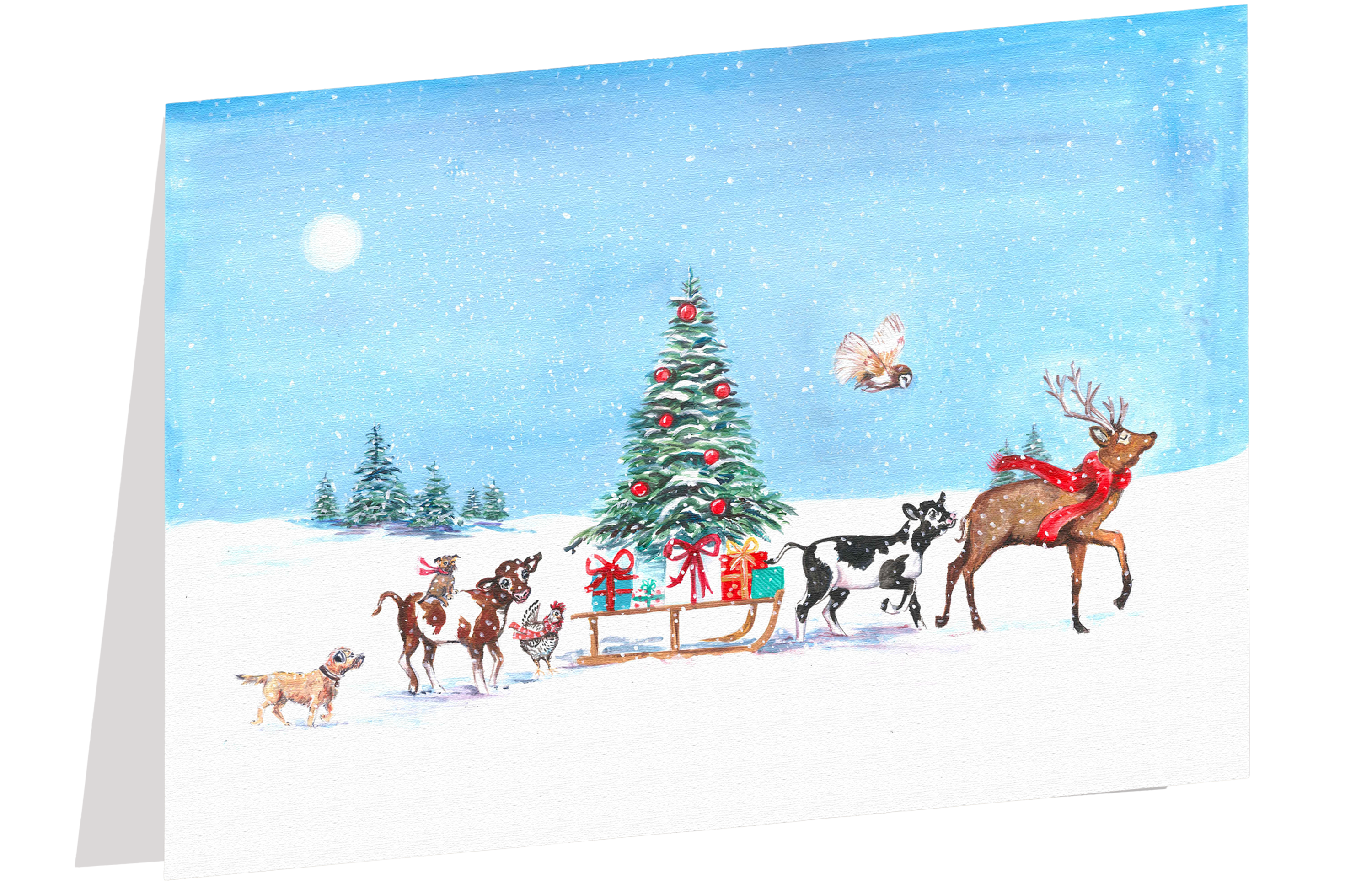 christmas-card-img-2