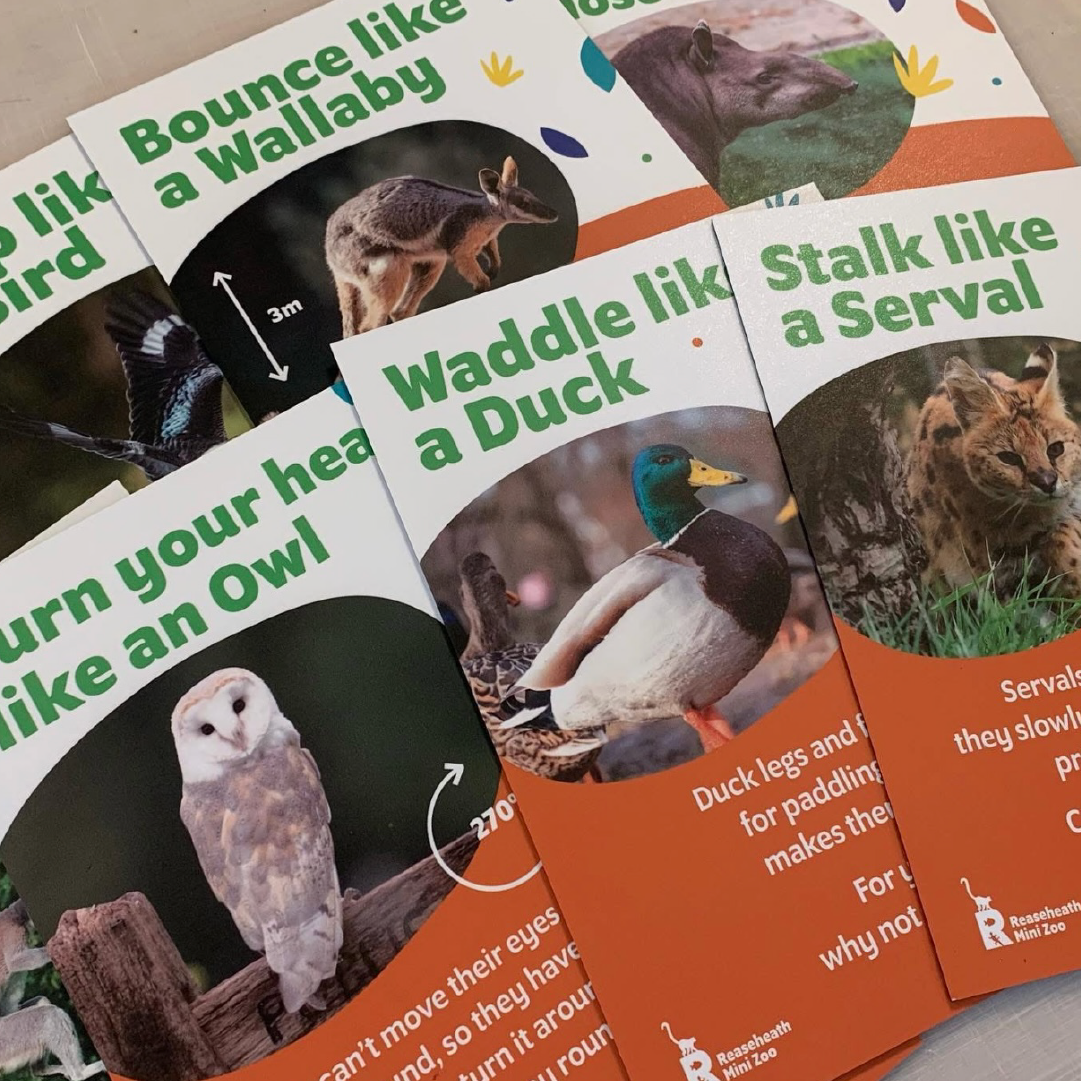 Bright Bespoke Signs with pictures of animals