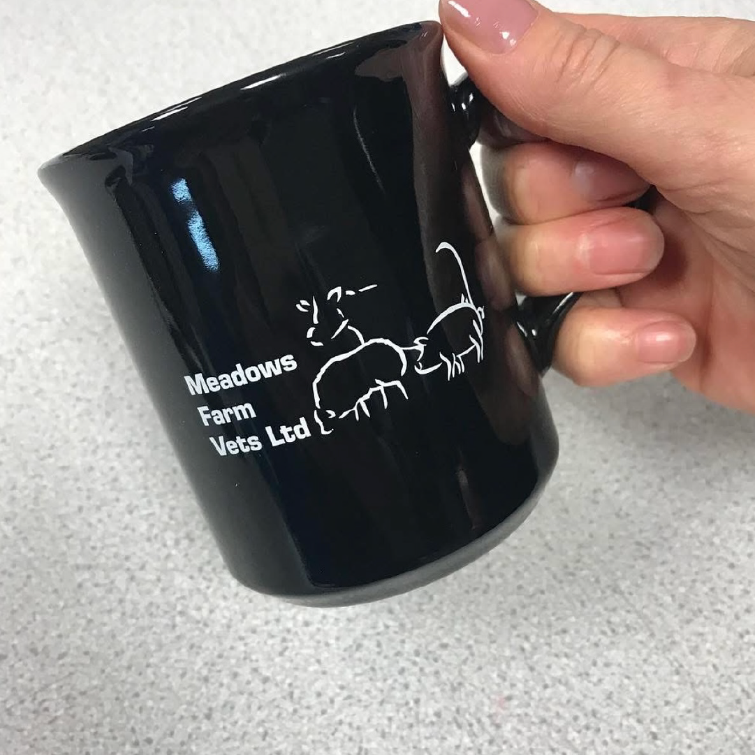 Black mug with Custom Meadow Farm Vet Logo and Company Name